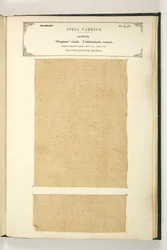 Punjum Cloth, Vizagapatam, Madras, z The Collection of the Textile Manufacturers of India, autorstwa Johna Forbesa Watsona, opublikowanej w 1866 r.