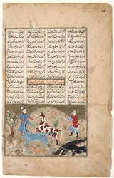 Rustam łapie konia Rakhsh, ok. 1480 (nieprzezroczysta toaleta i złoto na papierze)