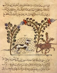 Kot i szczur, arabska miniatura z "Kalila va dimna"