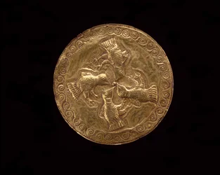 Ludy piersiowe, Moluki