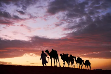 Kamerdyner prowadzi swoje wielbłądy na Erg Chebbi na pustyni w Merzouga, Maroko, 2019 r. (zdjęcie ilustracyjne)