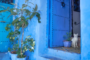 Scena uliczna w Chefchaouen, błękitnym mieście Maroka, 2019 r. (zdjęcie ilustracyjne)