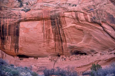 Kolby kukurydzy, pozostałości po ostatnim starożytnym posiłku tych Anasazi, nadal posyp...