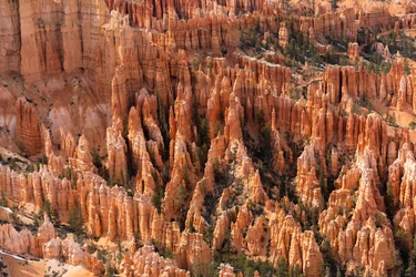Hoodoo - iglice utworzone przez erozję - w Parku Narodowym Bryce Canyon w stanie Utah, 2019