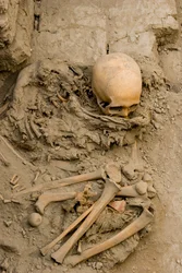 Ofiarna kobieta w pochówku z wiązką mumii w Huaca El Brujo, 2005 r. (zdjęcie)