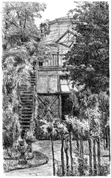 Ogród, ok. 1880-1882