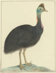 Kazuar