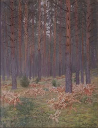 Paprocie, 1894