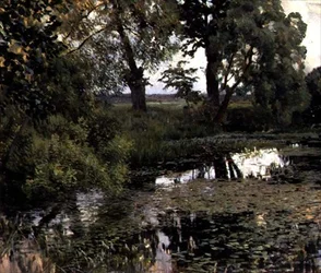 Zarośnięty staw