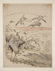 Returning Cranes (kolorowy drzeworyt)