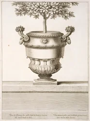 Urny z brązu używane do drzewek cytrusowych, ilustracja z „Widoków i planów wersalskich”, Paryż, ok. 1664-89 (rycina)