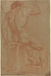 Naga figura męska [odbyt.]