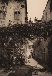 Corte Dolfin w Castello, 1892