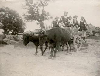 Rodzina na wozie ciągniętym przez woły, Sardynia, Włochy, ok. 1910 r.