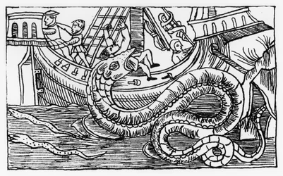 Wąż morski, z „Historii narodów północnych” Olausa Magnusa (1490-1557) opublikowanej w Rzymie, 1555
