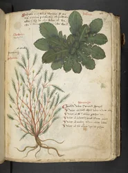 Dodaj MS 41623 