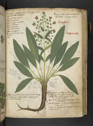 Dodaj MS 41623 
