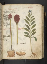 Dodaj MS 41623 