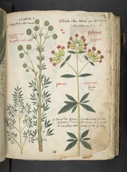 Dodaj MS 41623 