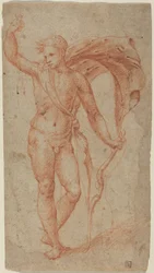 Apollo, ok. 1510-1540 (czerwona kreda)