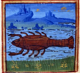 Znak raka. Horoskop włoski; połowa XV wieku.