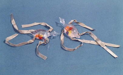 Kopia dwóch termometrów medycznych z Museo di Storia della Scienza we Florencji (szkło i wstążka)