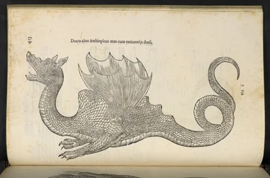 Etiopski smok „Wąż i druga książka historii smoka”, Bolonia autorstwa Ulisse Aldrovandi