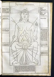Kobieca anatomia z Fasciculus Medicinae autorstwa Johannesa de Ketham (zm. 1490) ok. 1507