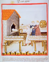 Fol.63v Pieczenie ciemnego chleba, ilustracja z Tacuinum Sanitatis