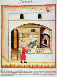 Fol.64v Przygotowanie chleba jaglanego, ilustracja z Tacuinum Santiatis Codex Vindobonensis