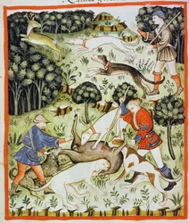 Fol.71v Gazela Myśliwska, ilustracja z Tacuinum Santiatis Codex Vindobonensis