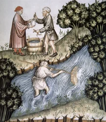 Fol.84r Fishing, ilustracja z Tacuinum Santiatis Codex Vindobonensis