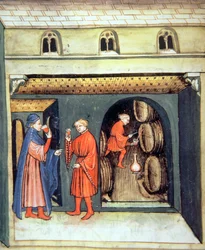 Fol.86v Dojrzałe wino owocowe, ilustracja z Tacuinum Santiatis Codex Vindobonensis