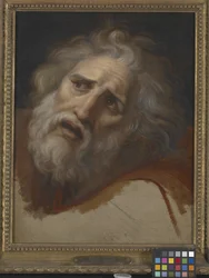 Głowa Laokoona (olej na płótnie)