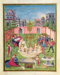 Pani 