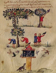 Pani Grec 479 Polowanie na ptaki, ilustracja prawdopodobnie z Ixeutiki Oppiana (tempera na welinie)