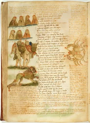 Pani Ital 483 P.4.7 f.156v Gemini, Leo and Cancer, z „Dittamondo” Fazio degli Uberti (welum)