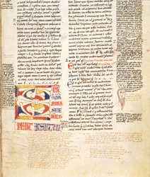 Ms. McClean 135, f.96r: detal roślinnej formy historiowanego inicjału C z Gratians Decretum, koniec XII w.