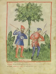Nouv Acq Lat 1673 fol.100v Zachodni wiatr, z Tacuinum Sanitatis, c.1390-1400