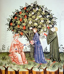 Nova 2644 fol.38r Zbieranie róż, ilustracja z Tacuinum Santiatis Codex Vindobonensis