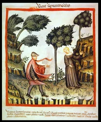 Nova 2644 fol.58v Północny Wiatr, z Tacuinum Sanitatis