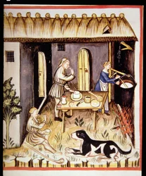 Nova 2644 fol.62r Przygotowanie białego sera z Tacuinum Sanitatis