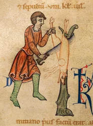 Listopad, Kwatera rzeźnicza świni, Miniatura z Martyrology of Adonis, Włochy