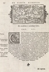 Strona 740 z Historii Północy Magnusa Olausa, Rzym 1565 (druk i grawerowanie)