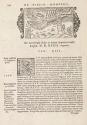 Strona 742 z History of the Northern Gentivus autorstwa Magnusa Olausa, Rzym 1565 (druk i grawerowanie)