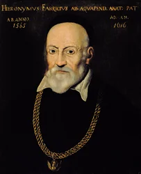 Portret Hieronima Fabriciusa