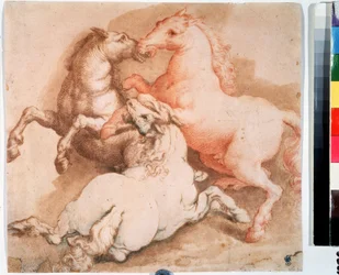 ""Walka konna"" (Walczące konie) Rysunek piórkiem, tuszem szkoły włoskiej. 1550-1600 Muzeum Puszkina, Moskwa