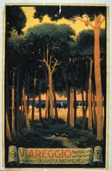 "Viareggio", opublikowane przez Richter and Co., Piza, Włochy (kolorowa litografia)