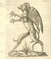 Ilustracja Monstrum alatum, & cornutum instar Cacodaemonis z Historii potworów Aldrovandiego, 1642
