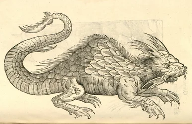 ilustracja przedstawiająca wizerunki Orobonisa Piscisa z „Historii potworów Aldrovandisa”, 1642 r